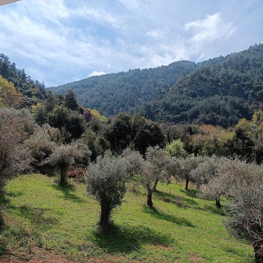 Evergreen Thassos Skala Potamia  Ngoại thất bức ảnh